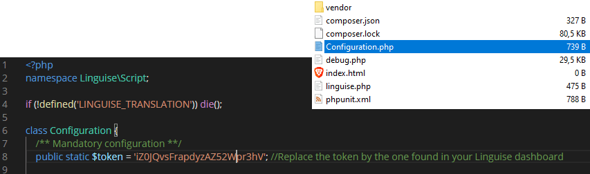 Laravel localization configuration in code editor