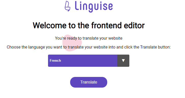 Translation website interface with language options