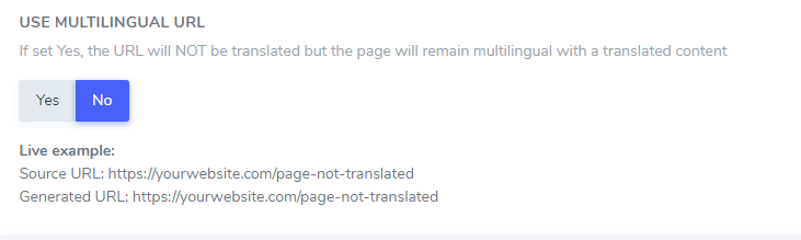 Multilingual URL settings for website translation options