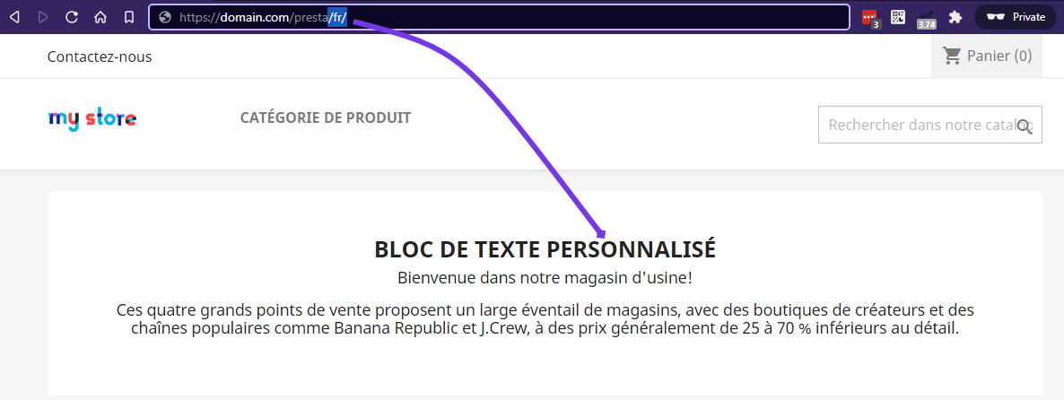 Capture d'écran d'un site web avec un bloc de texte personnalisé