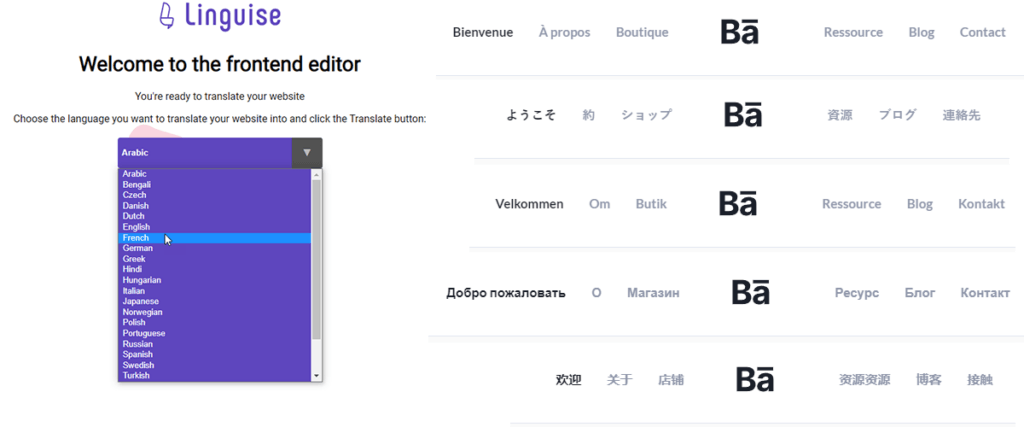 Screenshot of Lingui.se front end editor. Welcome to the front end editor.