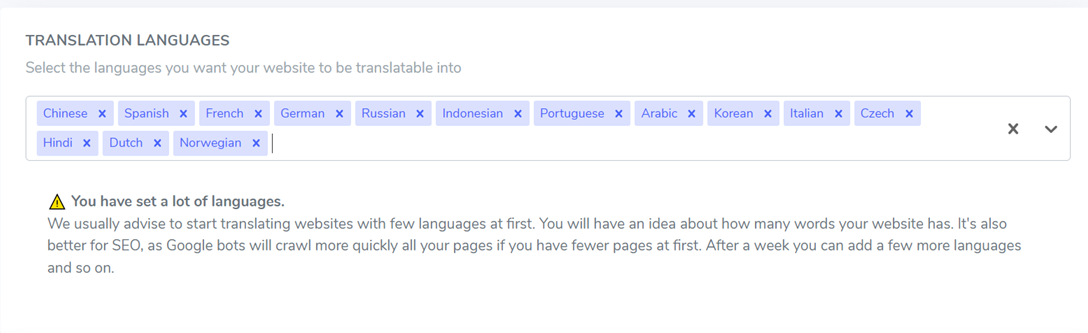 A dropdown menu for selecting website translation languages