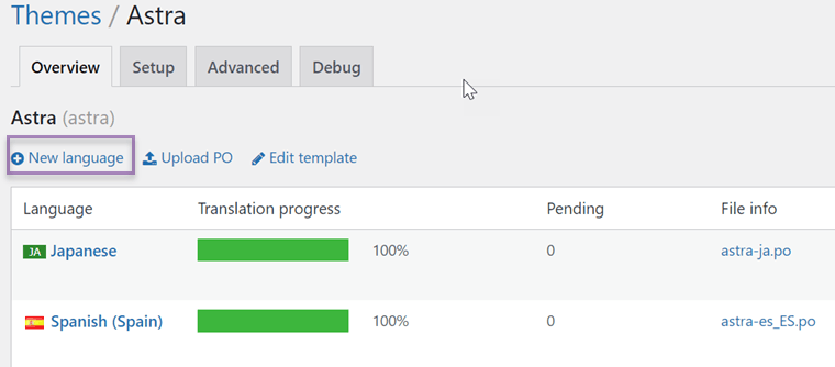 WordPress theme settings