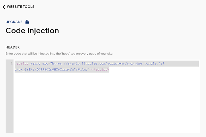 Code injection panel for website upgrade