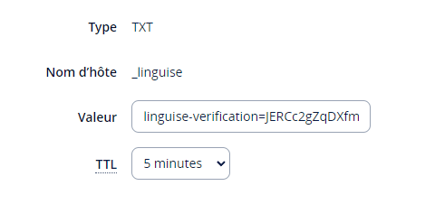 Text record for linguise verification