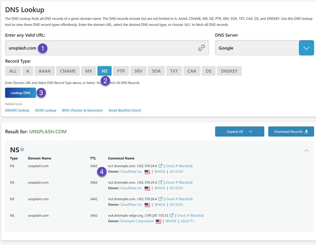 DNS lookup tool screenshot