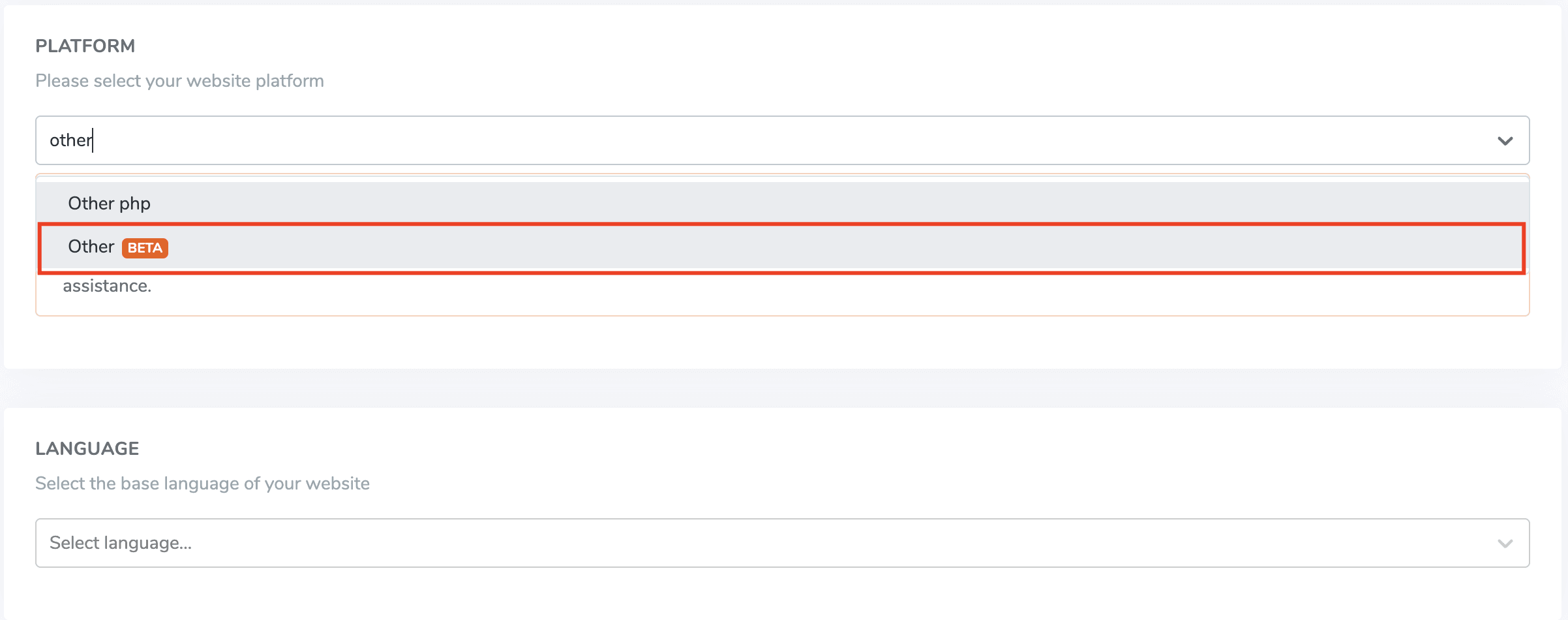 Website translation settings page