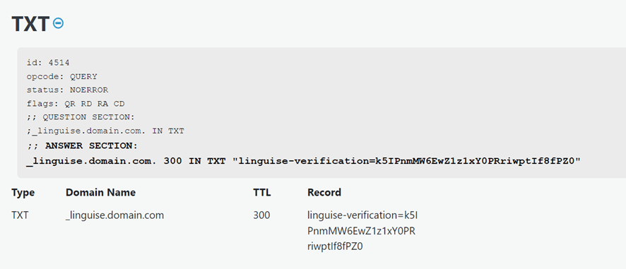 TXT record for linguistic domain verification