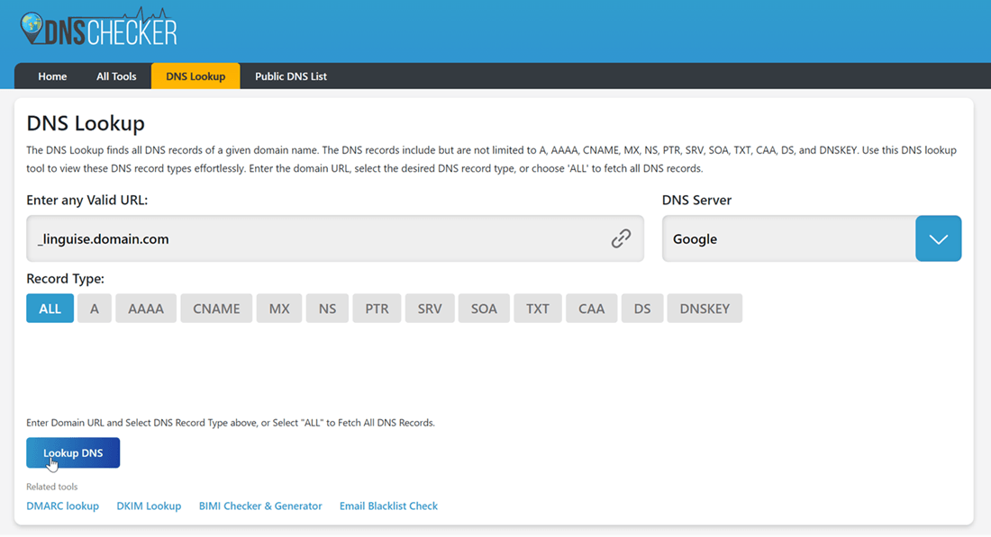DNS Checker screenshot