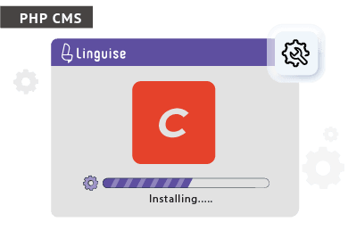 Installing Linguiase plugin on PHP CMS platform