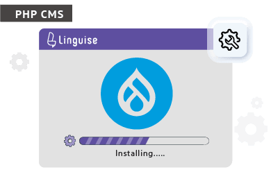 Installing Linguise on PHP CMS. Progress in progress.