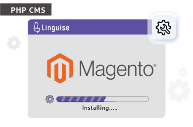 Installing Linguise extension on Magento