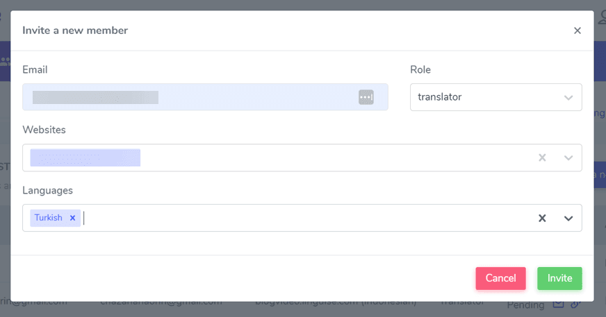 Invite a new member form on a website or application. The form includes fields for email, role, and language.