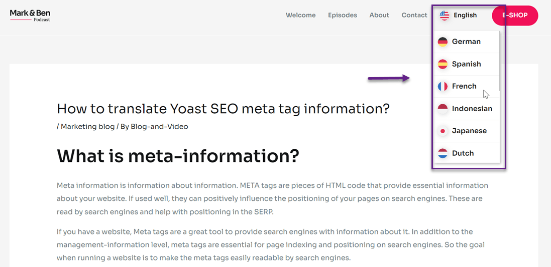 Learn about meta information and its impact on SEO results. Understand how to optimize your website's meta tags.