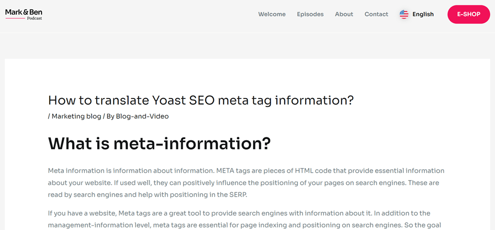 Website SEO meta tag information format
