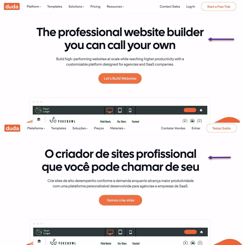 Professional website builder platform screenshot