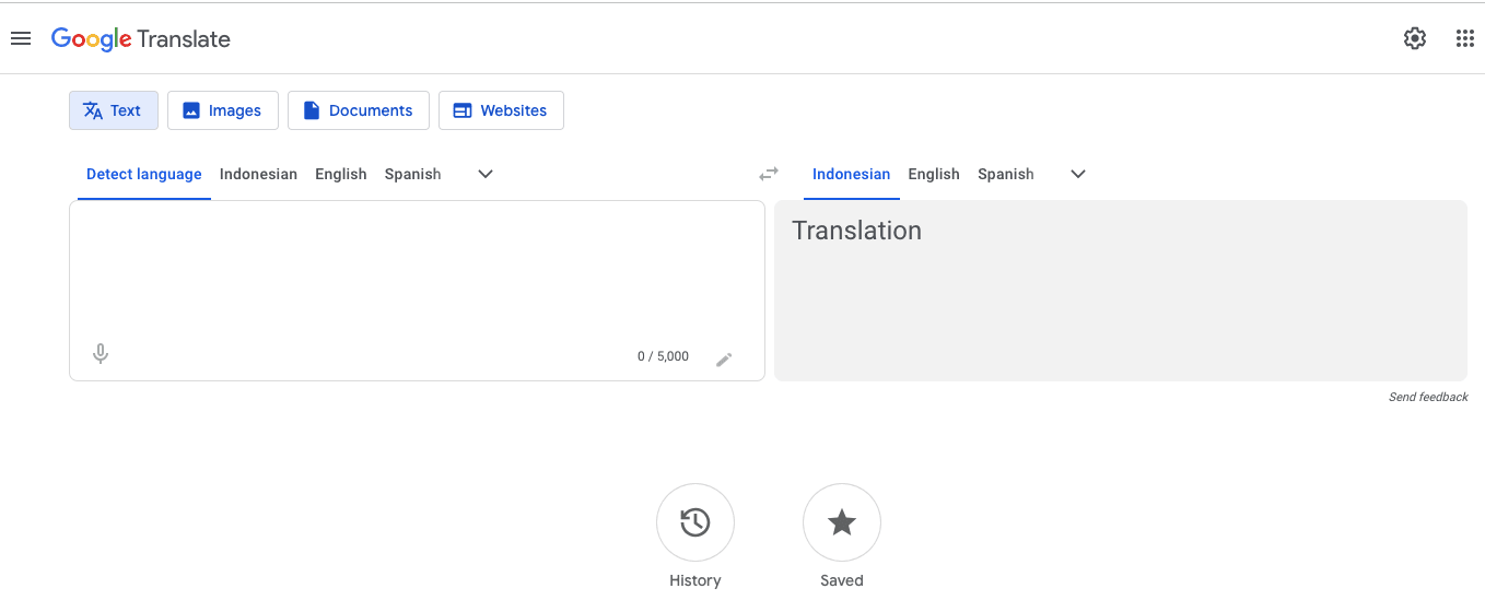 Website screenshot of Linguise