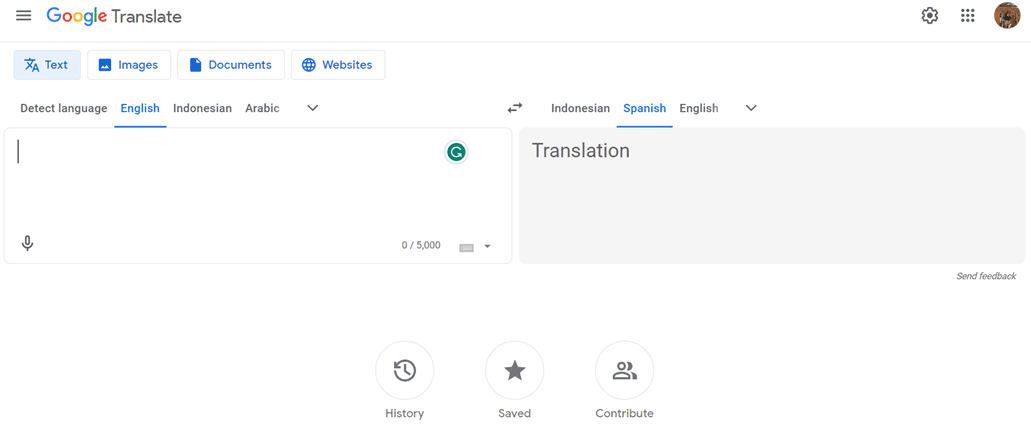Translation settings interface. Language settings options.