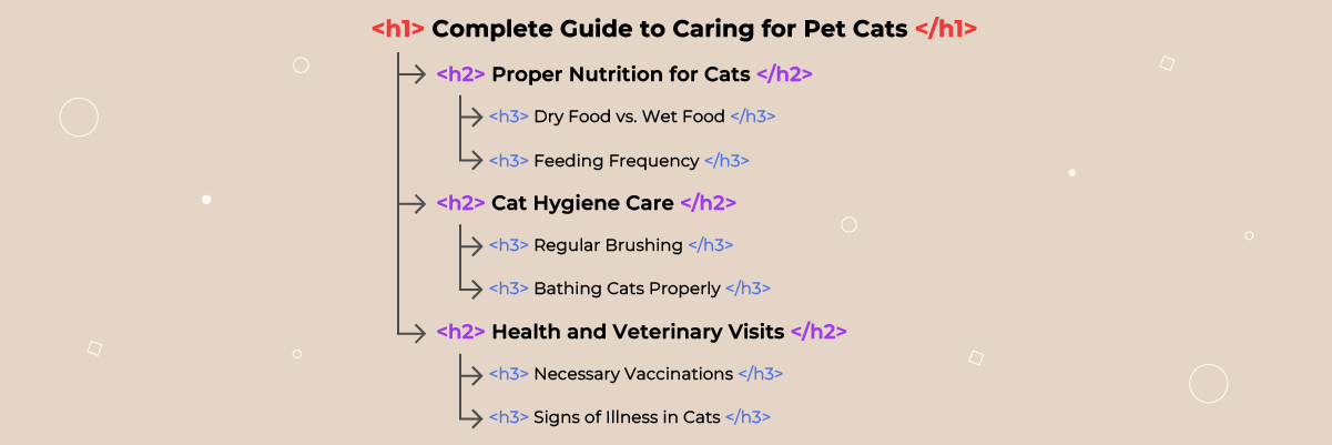 Infographic on cat care and nutrition