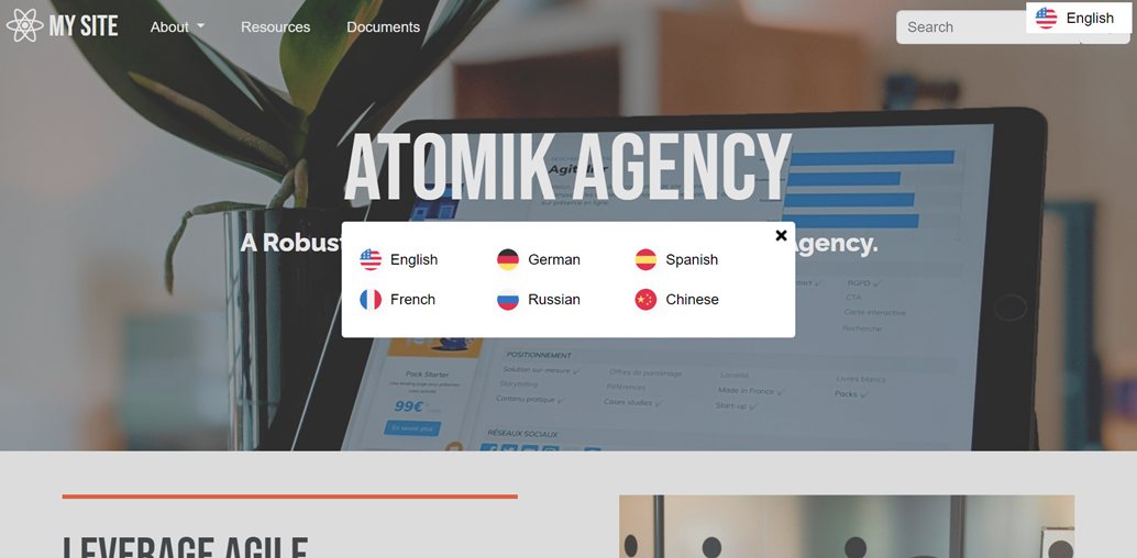 Multilingual website interface with language options