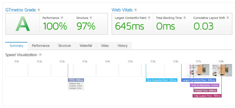 A screenshot of a website performance report showing metrics such as speed visualization and optimization grade.