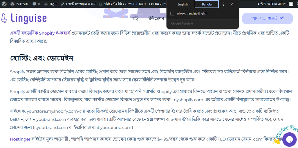 Linguiase website homepage