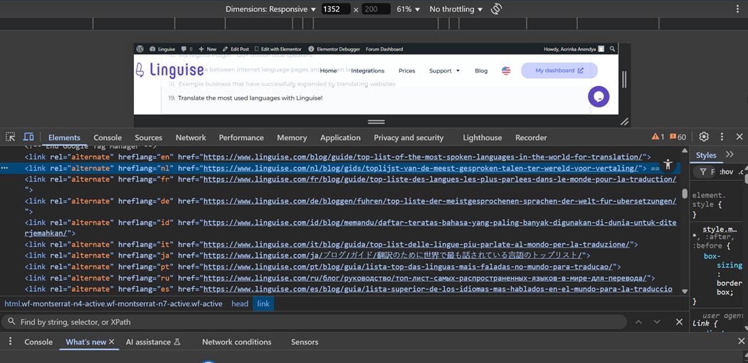 Coding interface with Lingoose on top